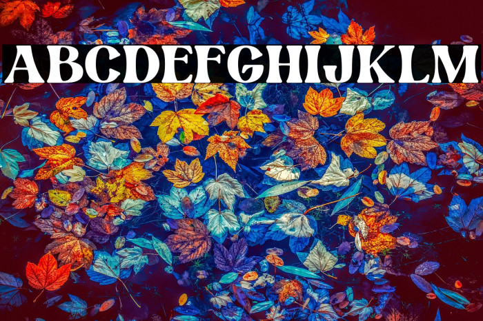 Wild Month Personal Use Example 1