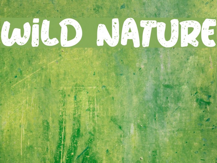 Wild Nature 字体 examples