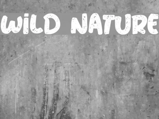 Wild Nature 字体 examples