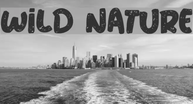 Wild Nature 字体 examples