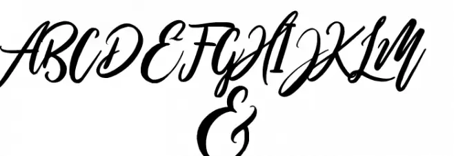 Wild Ones Font OTHER CHARS