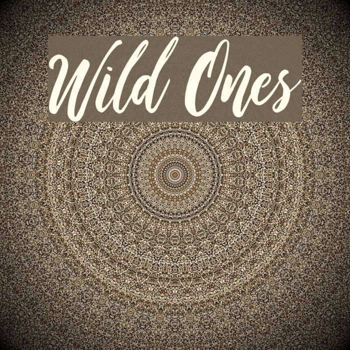Wild Ones Font - FFonts.net