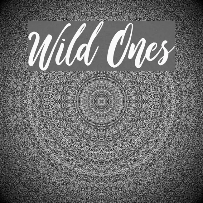 Wild Ones Font examples