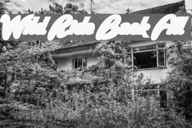 Wild Ride Back Fill Font examples