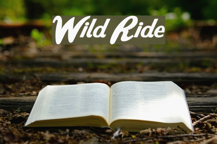 Wild Ride Font examples