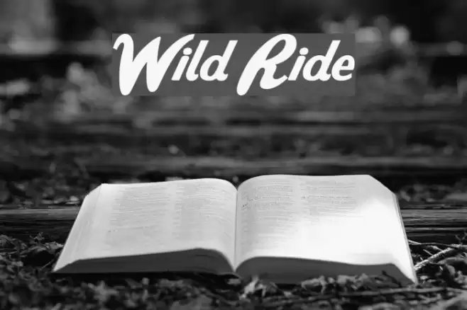 Wild Ride Fonte examples