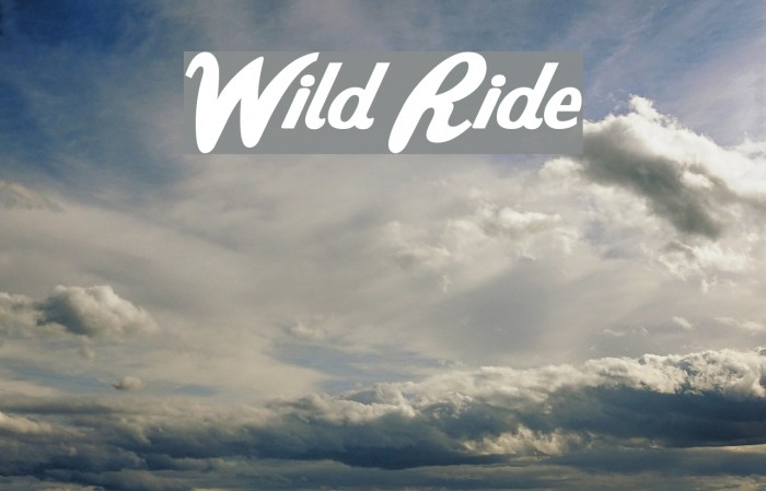 Wild Ride Font examples