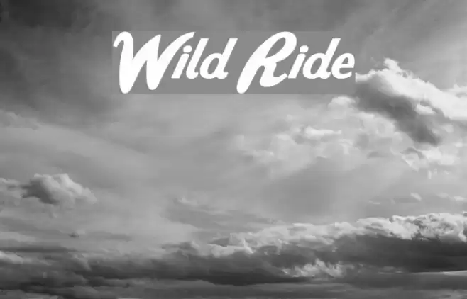 Wild Ride Fonte examples