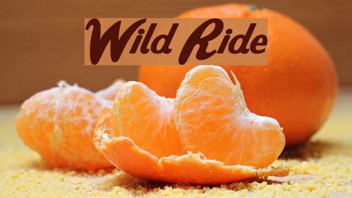 Wild Ride Font examples