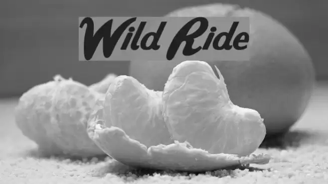 Wild Ride Fonte examples