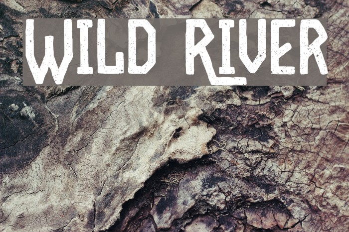 Wild River Font examples