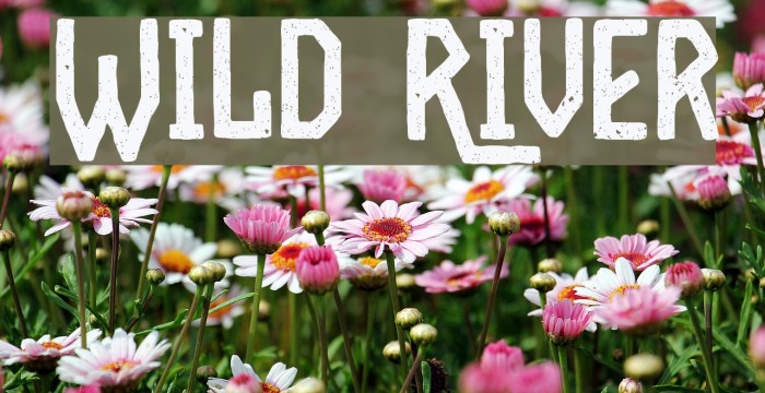 Wild River Font examples