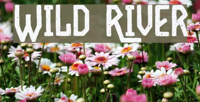 Wild River Example 3