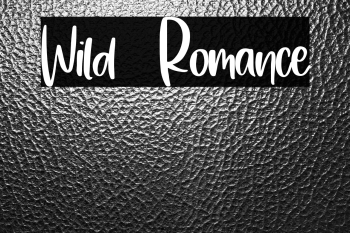 Wild  Romance Example 3