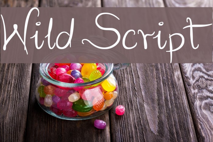 Wild Script Font examples