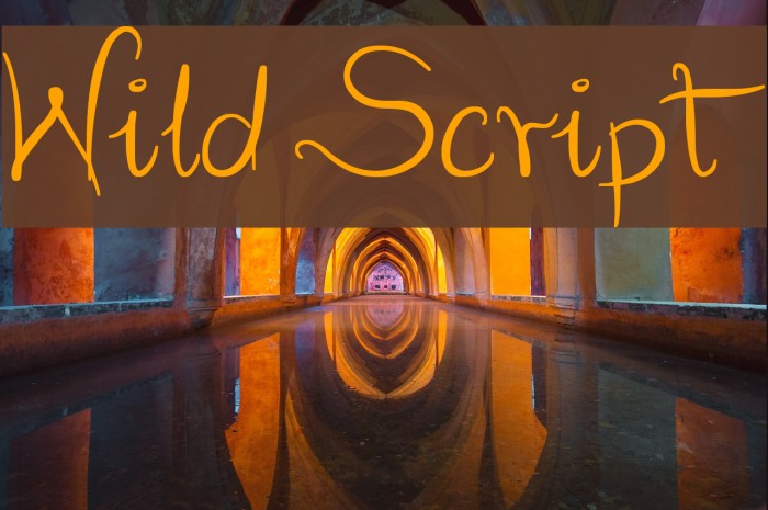 Wild Script Font examples