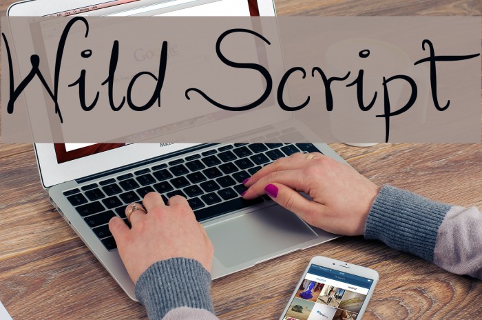 Wild Script Font examples