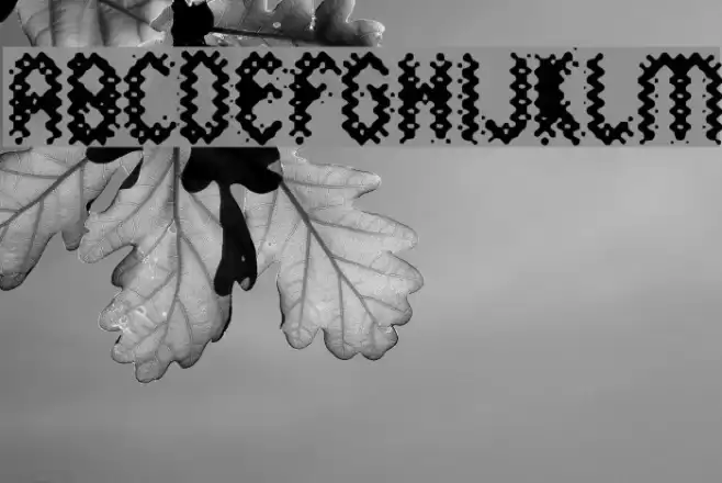 Wild Sewerage Polices examples