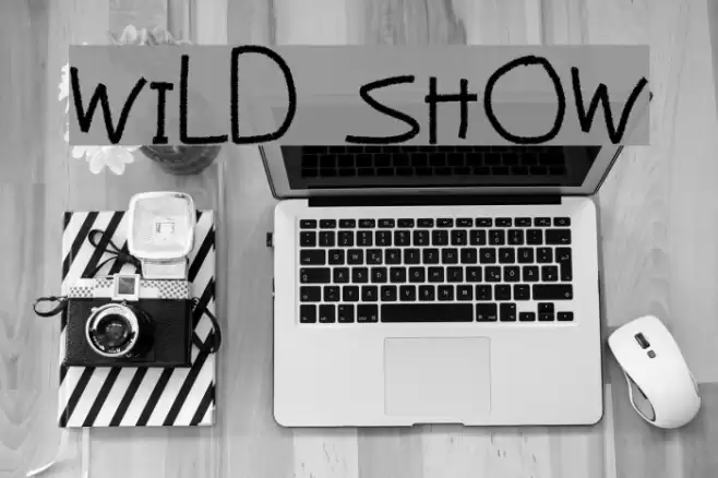 Wild Show Font examples