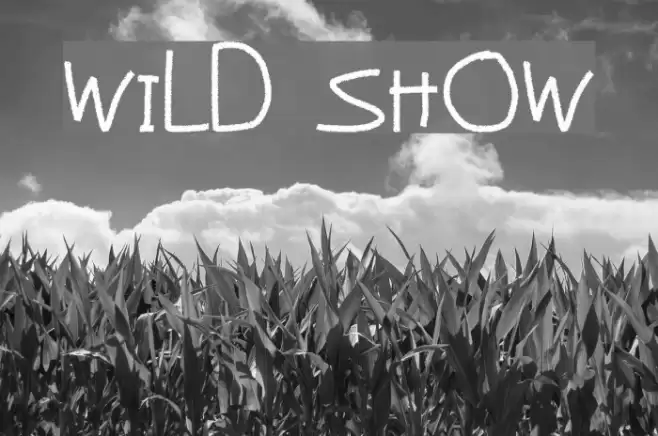 Wild Show Font examples