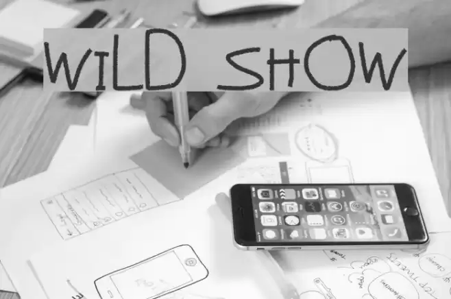 Wild Show Font examples