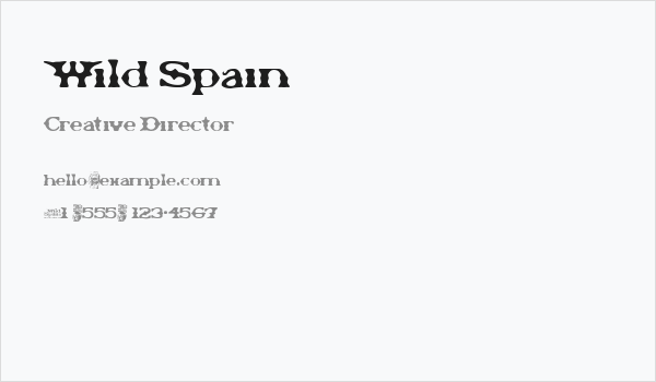 Wild Spain Business Card