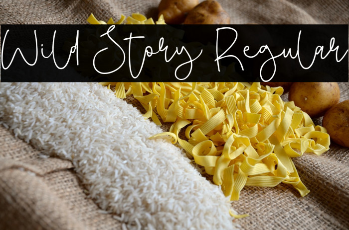 Wild Story Regular Example 1