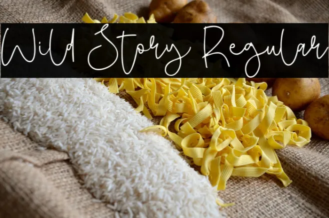 Wild Story Regular Example 1
