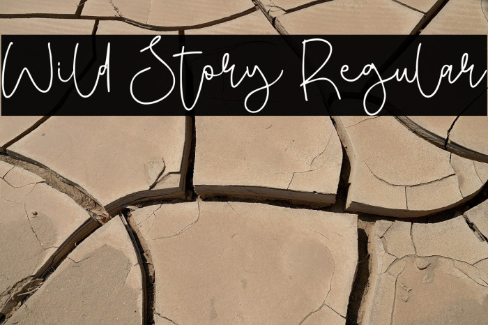 Wild Story Regular Example 3