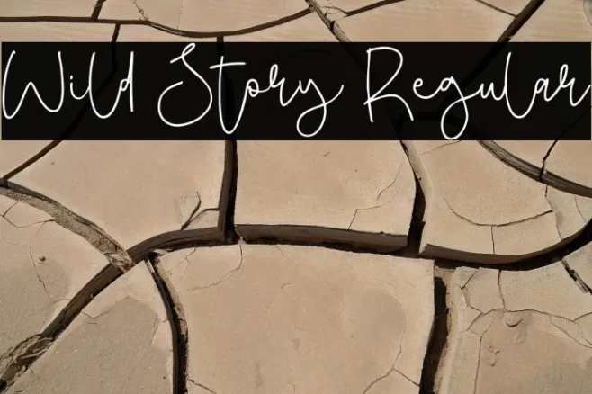 Wild Story Regular Example 3
