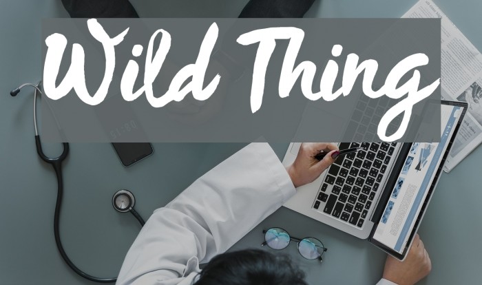 Wild Thing Example 1