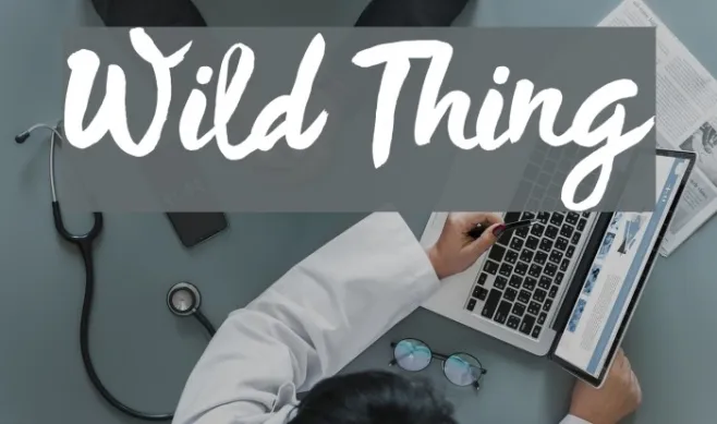 Wild Thing Example 1