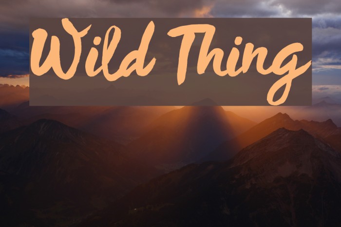 Wild Thing Example 2