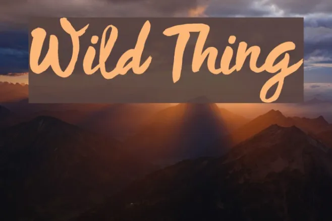 Wild Thing Example 2
