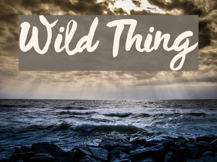 Wild Thing Example 3