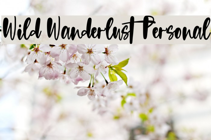 Wild Wanderlust Personal Font examples