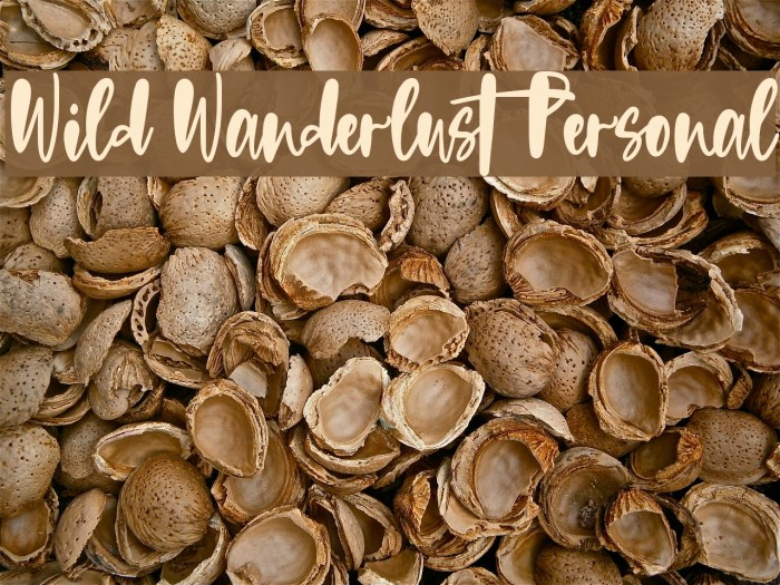 Wild Wanderlust Personal Font examples