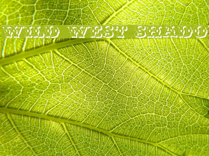 Wild West Shadow Font examples