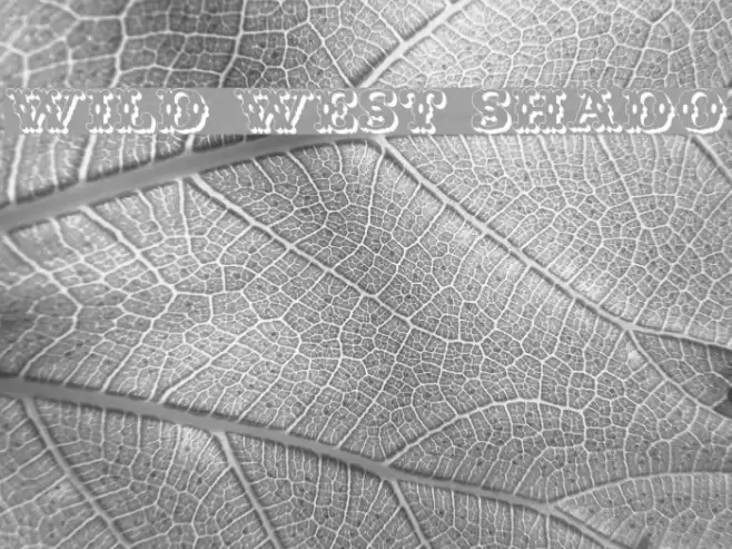 Wild West Shadow Caratteri examples