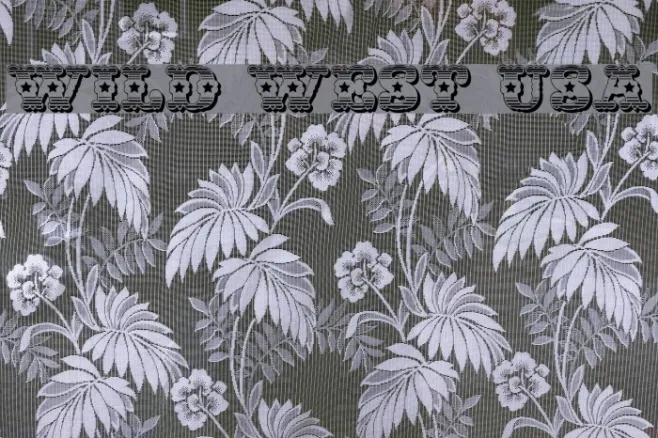 Wild West USA Example 1