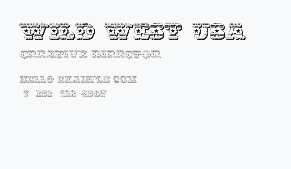 Wild West USA Business Card