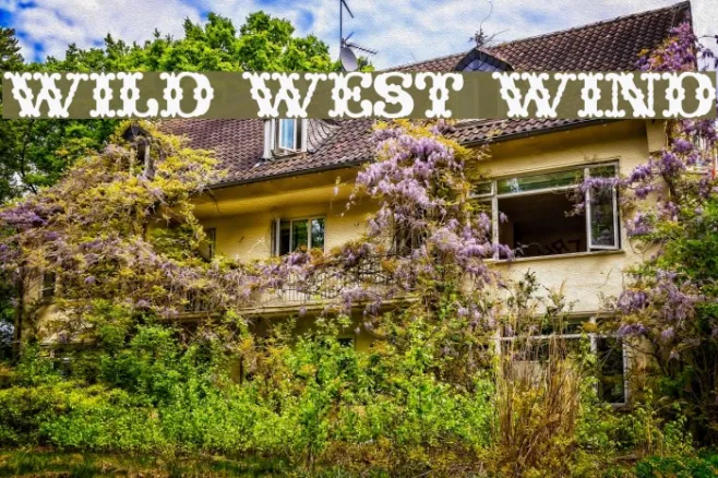Wild West Wind Example 3
