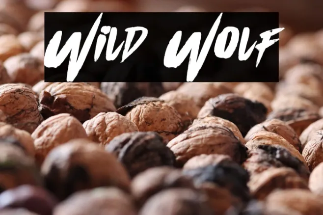 Wild Wolf Example 1
