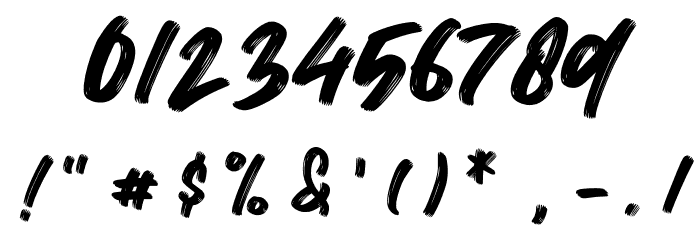 Wild Youth Font OTHER CHARS
