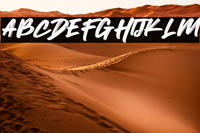 Wild Youth Example 1