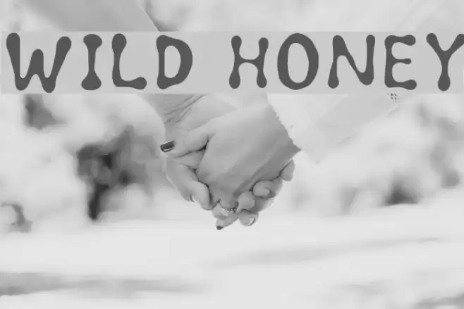 Wild honey Font examples