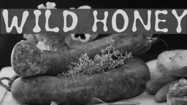 Wild honey Font examples