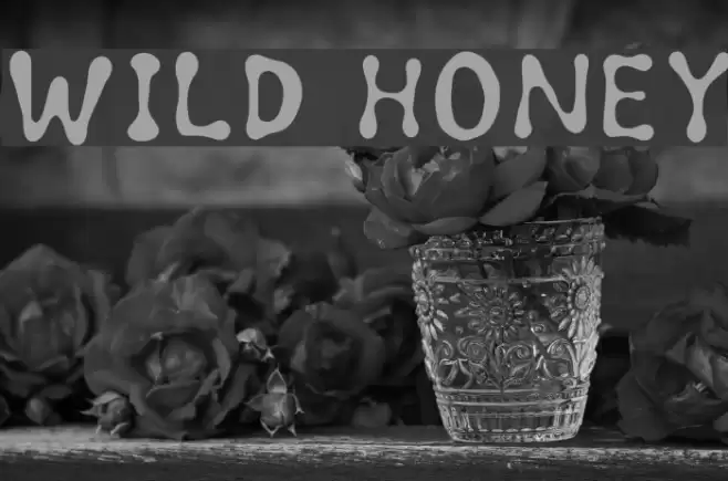 Wild honey Font examples