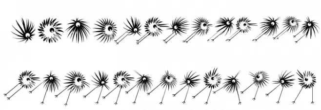 WildBirds Fuentes MAYÚSCULAS