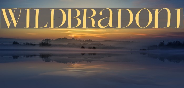 WildBradoni Example 2